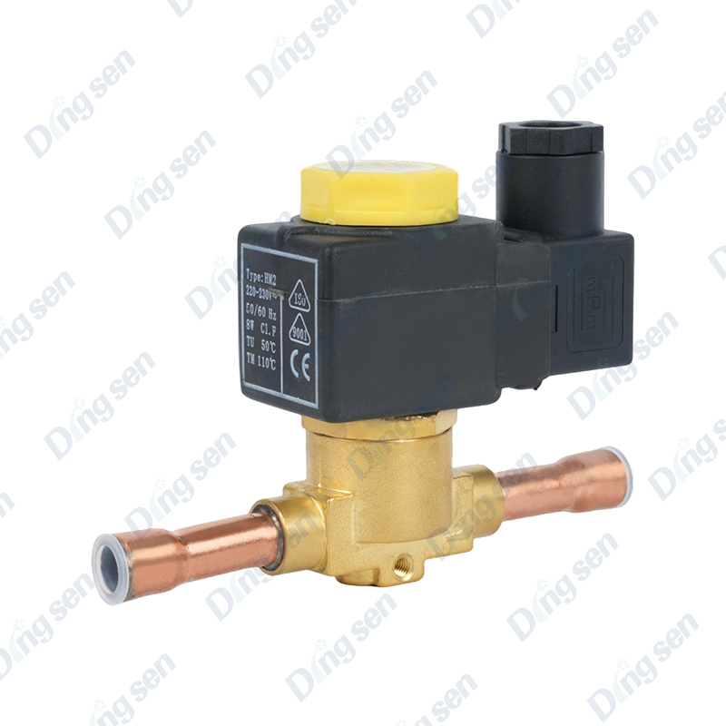 EVR solenoid valfı