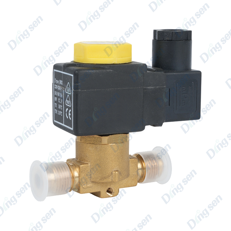 EVR solenoid valfı
