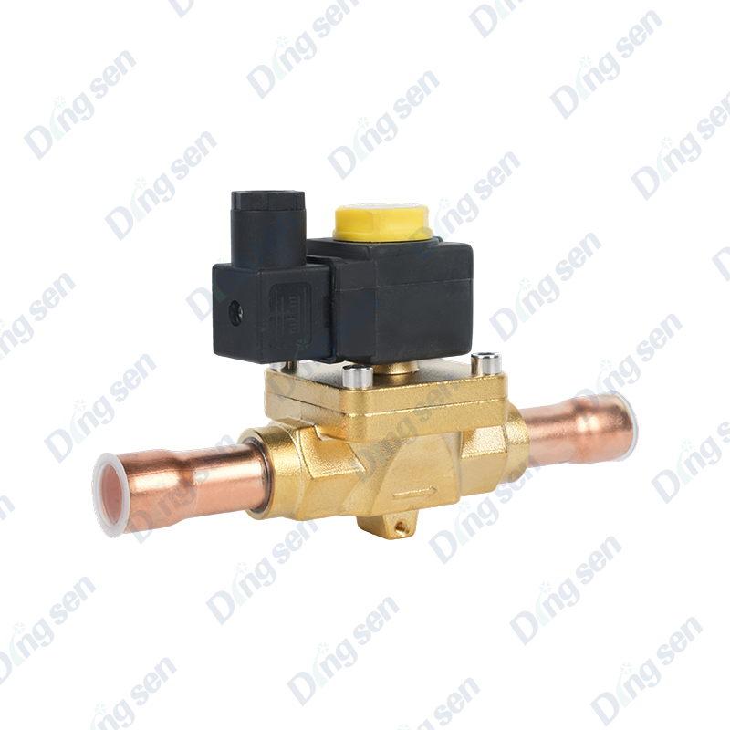 EVR solenoid valfı