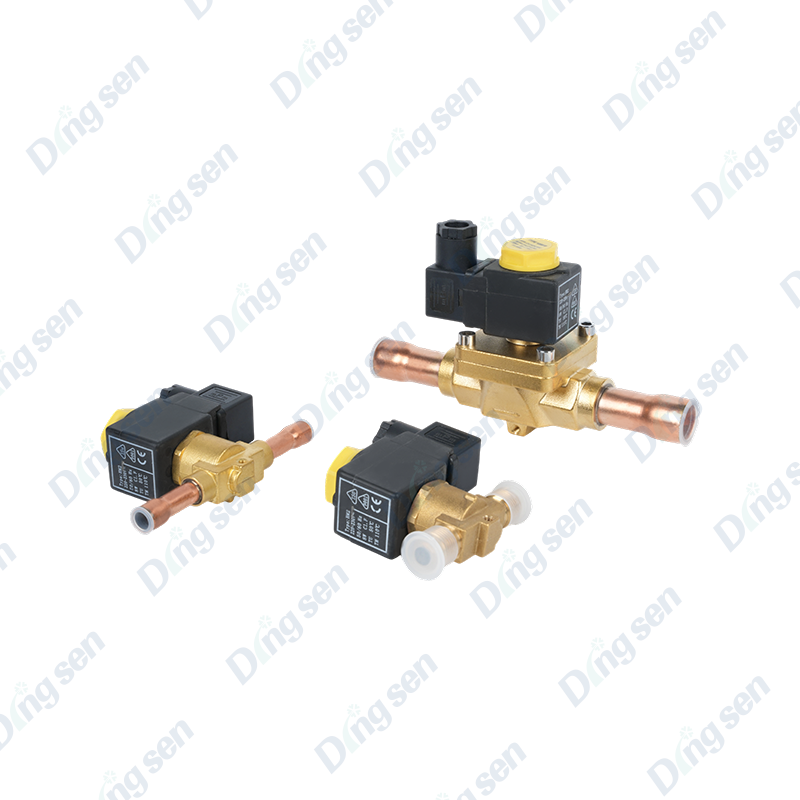 EVR solenoid valfı