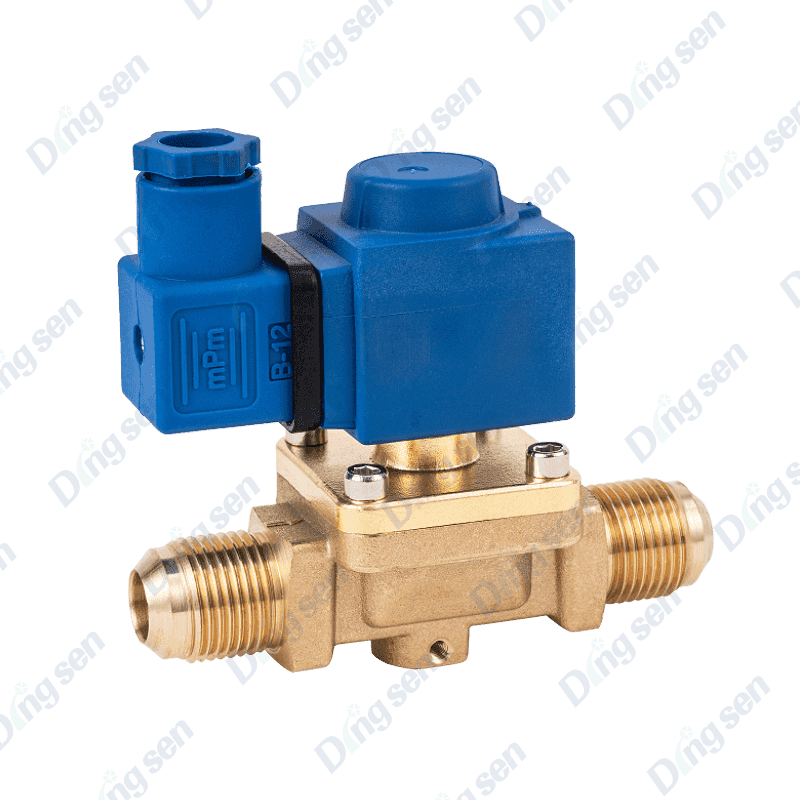 10 serisi solenoid valf